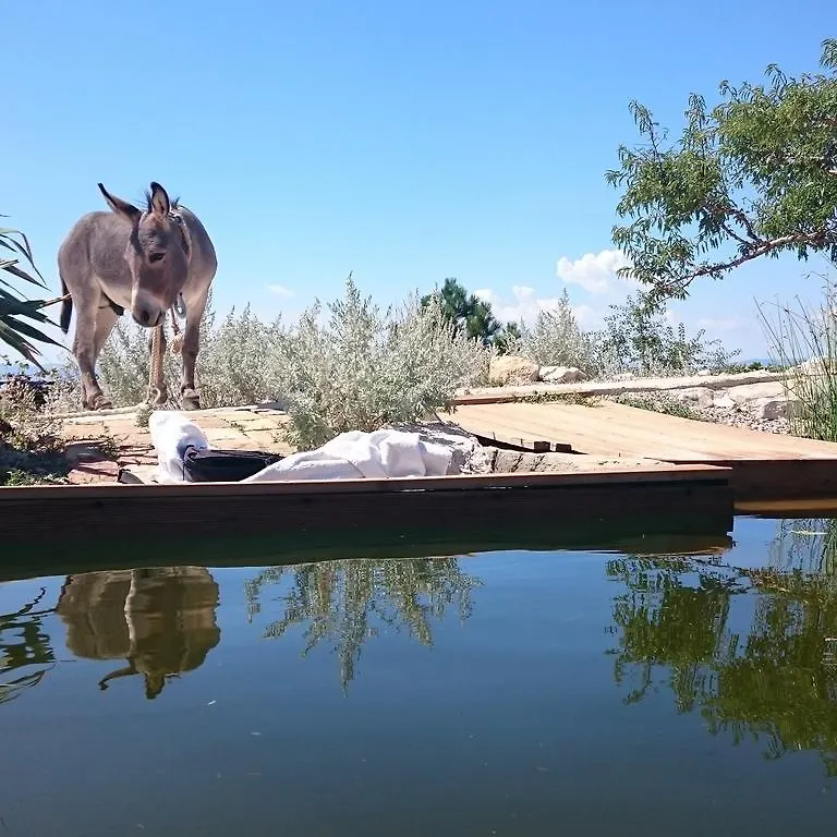 Villa Suzi Donkey Farm With Seaview Smrika 0*,