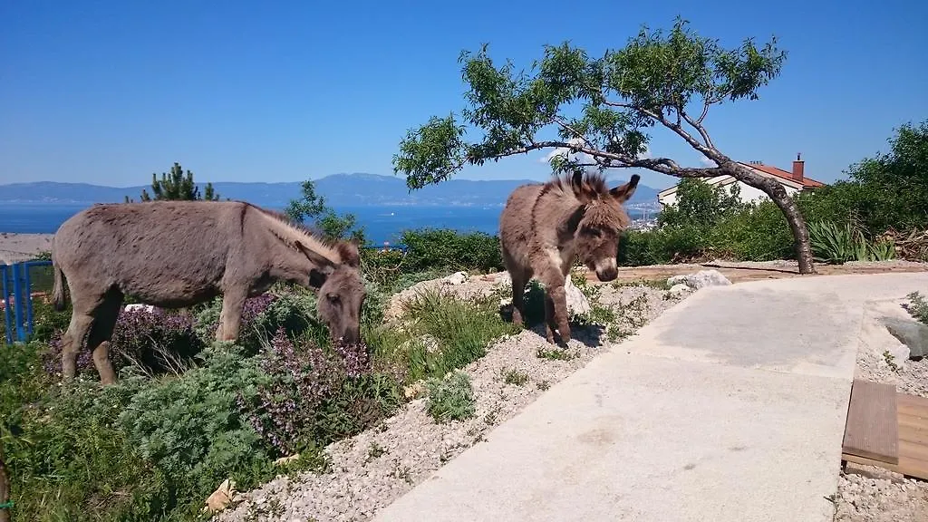 Apartment Villa Suzi Donkey Farm With Seaview Šmrika