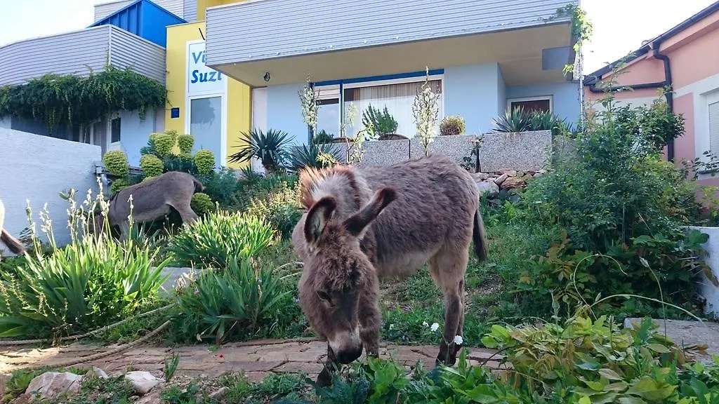 Villa Suzi Donkey Farm With Seaview Šmrika Apartment