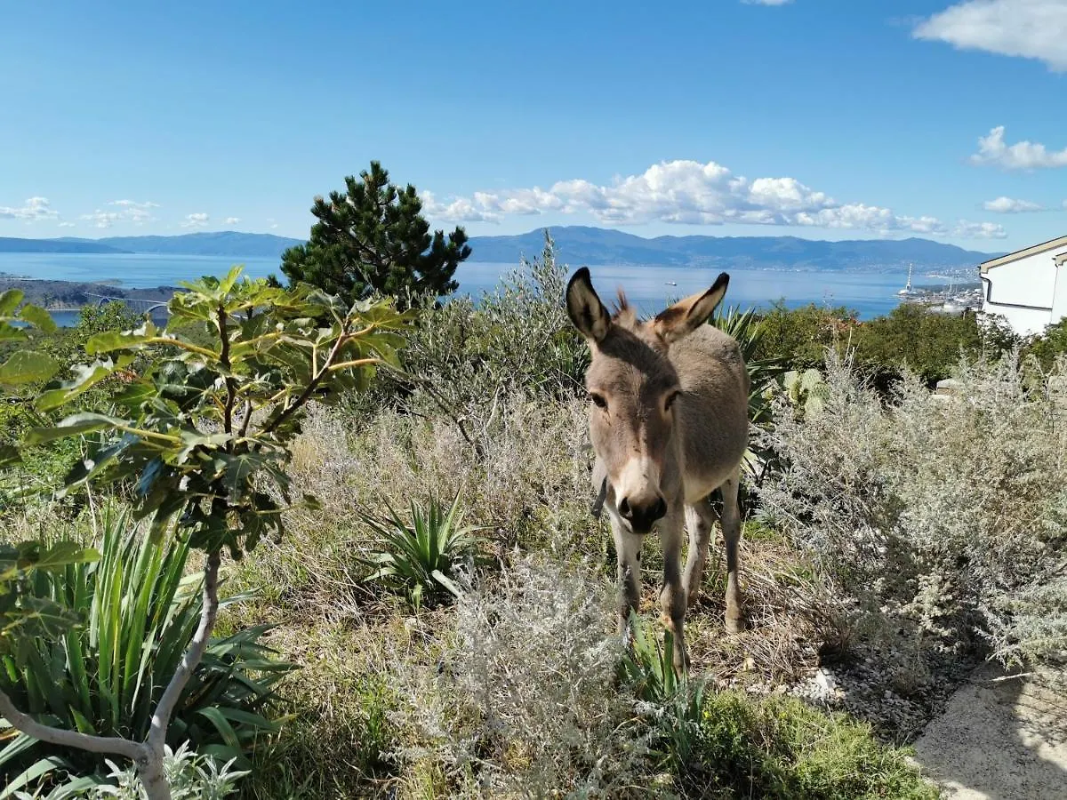 Villa Suzi Donkey Farm With Seaview Šmrika