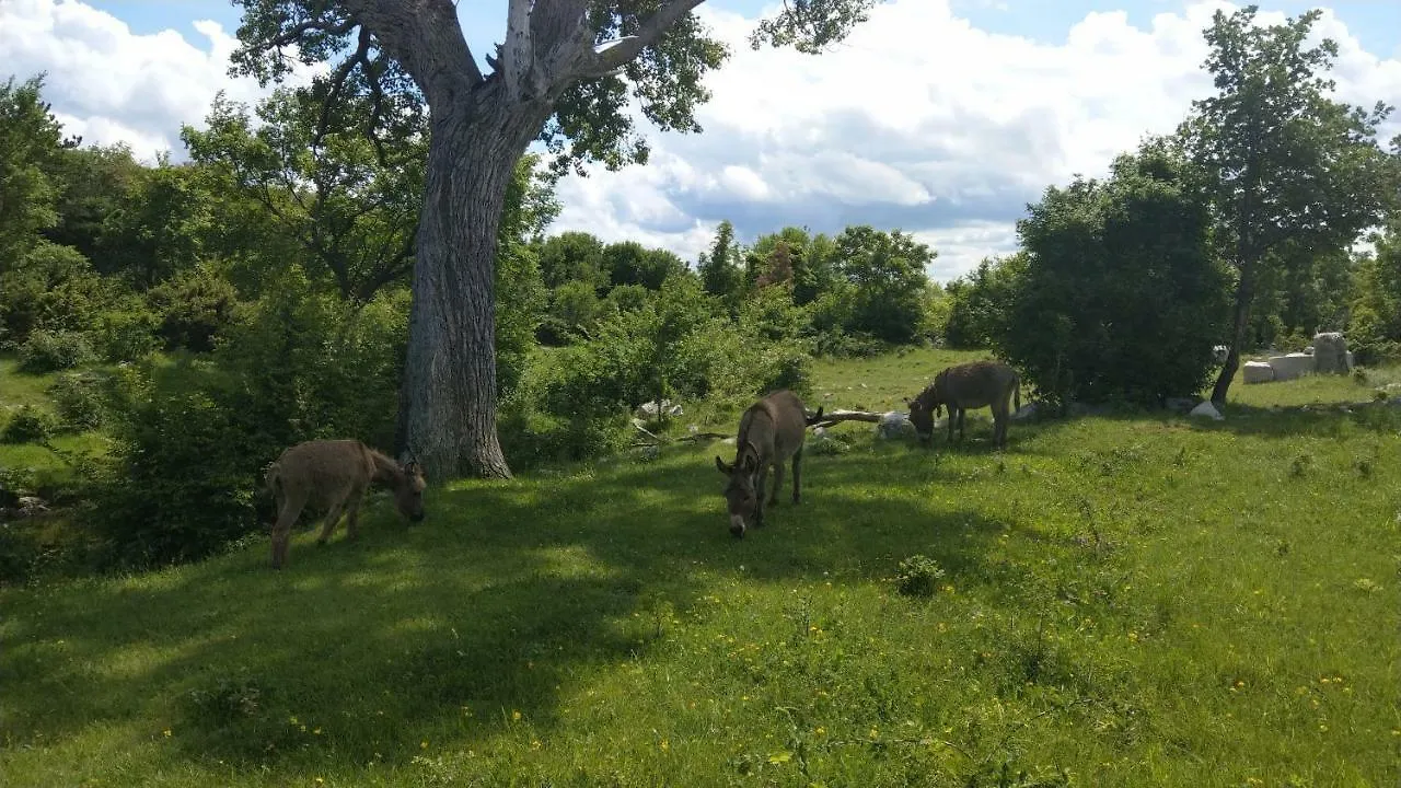 Villa Suzi Donkey Farm With Seaview Šmrika 0*,  Croacia